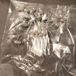 Hair clip and Earrings